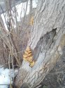 IMG_20160119_121602.jpg