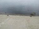 IMG_20160312_162625.jpg