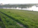 20160423_180649.jpg