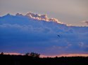 P4292751.jpg