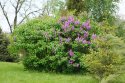 DSC00262.jpg