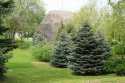 DSC00269.jpg
