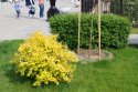 DSC00300.jpg
