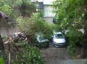IMG_4530.jpg