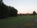IMG_4568.JPG
