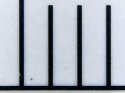 Still0018.JPG