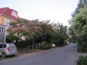 IMG_0362.jpg