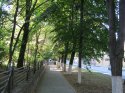 IMG_0583.jpg