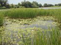 IMG_20160807_120802.jpg