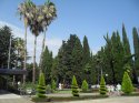 SDC13662.jpg