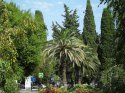 SDC13669.jpg