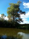 IMG_20160910_141122.jpg