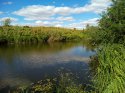 IMG_20160910_141128.jpg