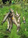 IMG_20160918_131458.jpg