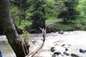 DSC00469.jpg