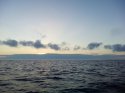 IMG_20161021_064901.jpg
