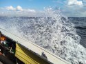 IMG_20161021_104228.jpg
