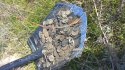 WP_20161023_11_53_34_Pro.jpg
