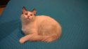 WP_20161013_22_02_58_Pro.jpg