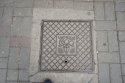 DSC06250.jpg