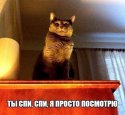 -LVRvuiEfmE.jpg