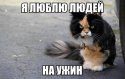 MBgWKFhsfb8.jpg