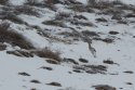 Файл 00436.jpg