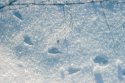 IMG_6831.jpg