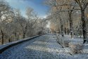MAA_1519.jpg