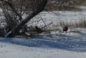 IMG_5482.JPG