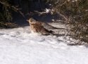 DSC09661.jpg