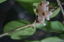 DSC00016.jpg