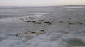 DSC_4779.jpg