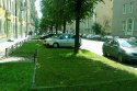Газонная парковка и деревья.jpg