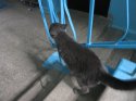 2017-03-04 05-16-34.jpg