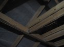 IMG_20170329_215655.jpg