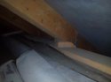 IMG_20170329_215922.jpg