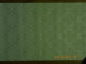 DSCN0660.jpg