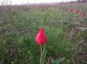 IMG_20170418_075352.jpg