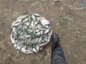 20170423_144108.jpg