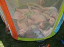 2011_06_20022.jpg