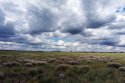 DSC05534.jpg