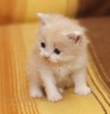 DSC03772.jpg