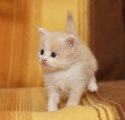 DSC03775.jpg