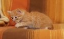 DSC03782.jpg