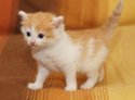 DSC03778.jpg