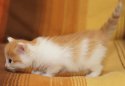 DSC03776.jpg