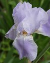 DSC02438.jpg