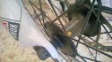 WP_20170529_10_52_09_Pro.jpg