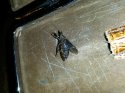 20170622_000038.jpg